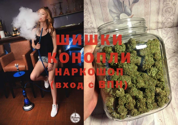 дмт Абаза