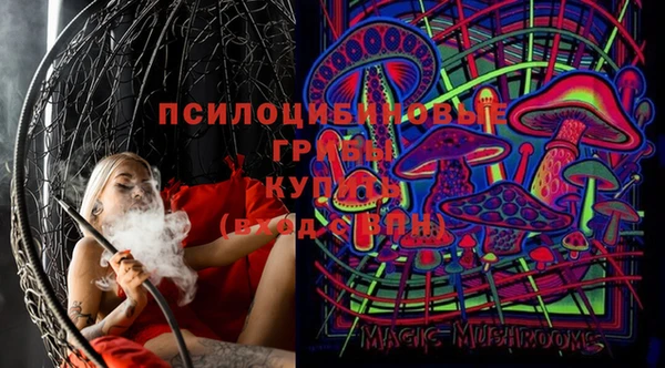 дмт Абаза